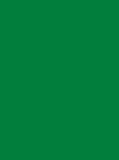 Madeira Polyneon 40 Col.1651 5000m Emerald