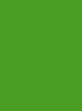 Madeira Polyneon 40 Col.1701 5000m Green