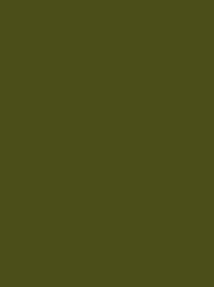 Madeira Polyneon 40 Col.1756 5000m Olive