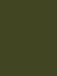 Madeira Polyneon 40 Col.1794 1000m Olive