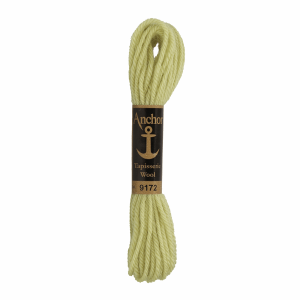 Anchor Tapestry Wool 10m Col.9172 Green