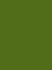 Madeira Polyneon 40 Col.1769 1000m Leaf Green