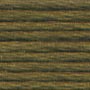 Madeira 6 Strand Cotton 1607 Dark Khaki 10m Spiral Pack