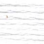 Madeira 6 Strand Cotton 2402 Arctic White 10m Spiral Pack