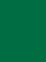 Colour 1851 Madeira Polyneon 40 1000m - Green