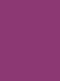 Madeira Classic 40 1310 Magenta 5000m Cone