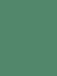 Madeira Classic 40 1098 Green 5000m Cone