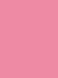 Madeira Classic 40 1108 Pink 5000m Cone