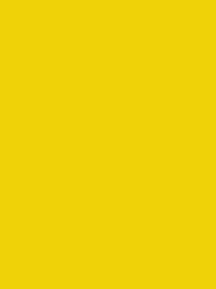 Madeira Classic 40 1223 Lemon 5000m Cone