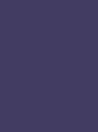 Madeira Classic 40 1233 Aubergine 5000m Cone