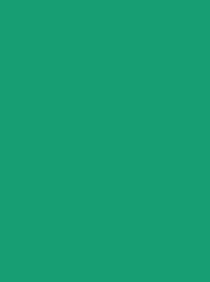 Madeira Classic 40 1247 Jade Green 5000m Cone