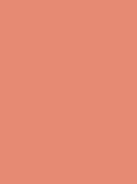 Madeira Classic 40 1254 Peach 5000m Cone