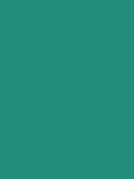 Madeira Classic 40 1279 Aquamarine 5000m Cone