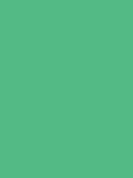 Madeira Classic 40 1301 Green 5000m Cone