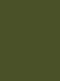 Madeira Classic 40 1495 Dark Green 5000m Cone