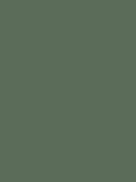 Madeira Polyneon 40 1668 Green 1000m Cone