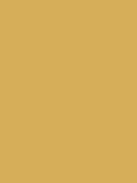 Colour 1670 Madeira Polyneon 40 1000m - Honey