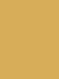 Madeira Polyneon 40 1670 Honey 1000m Cone