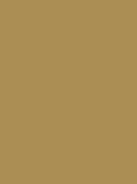 Madeira Polyneon 40 1673 Light Brown 1000m Cone