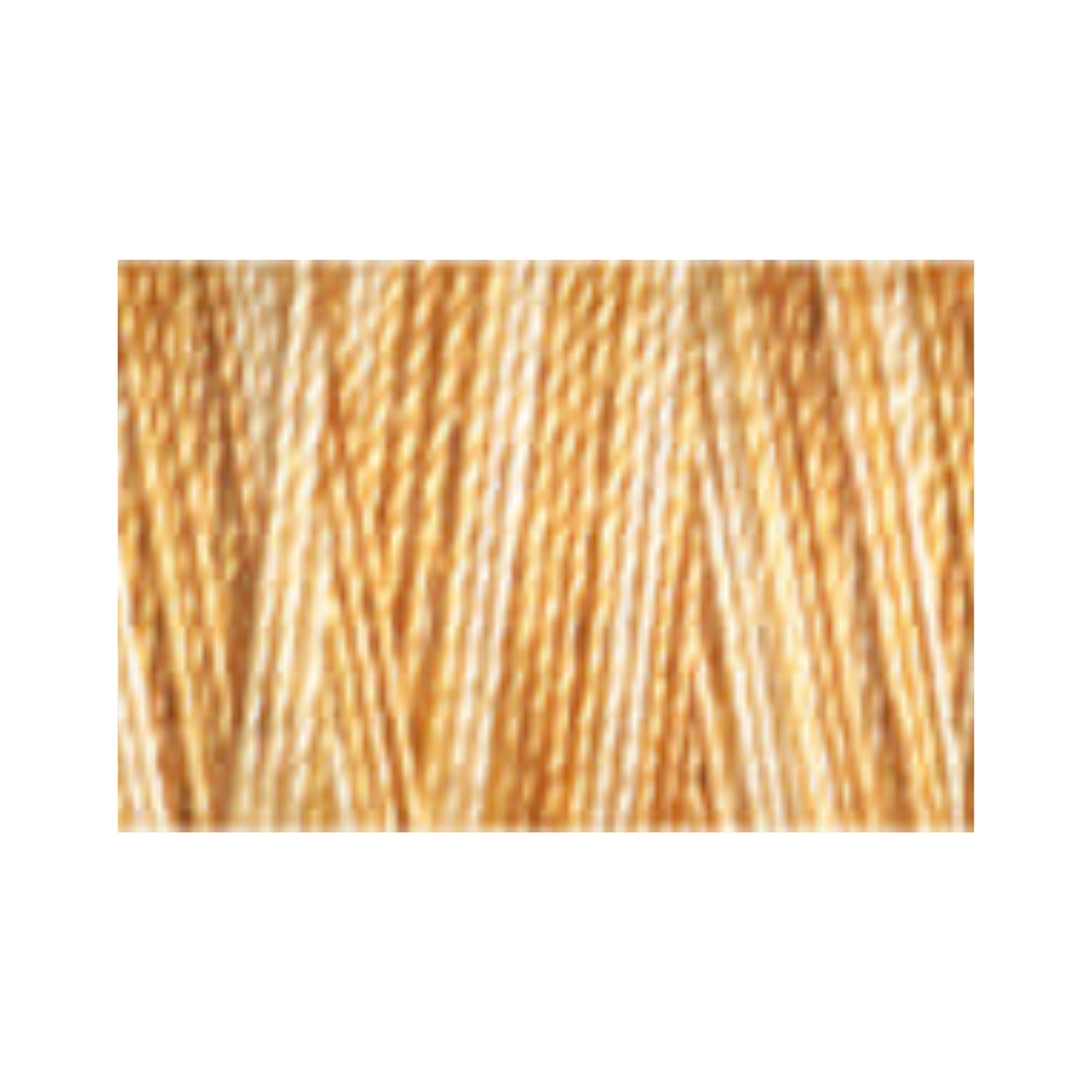 Cotton.30 Col.4040 (R2,9)