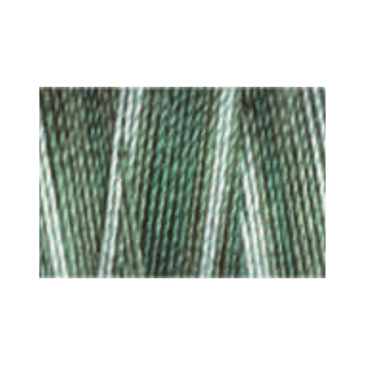 Cotton.30 Col.4037 (R4,26)