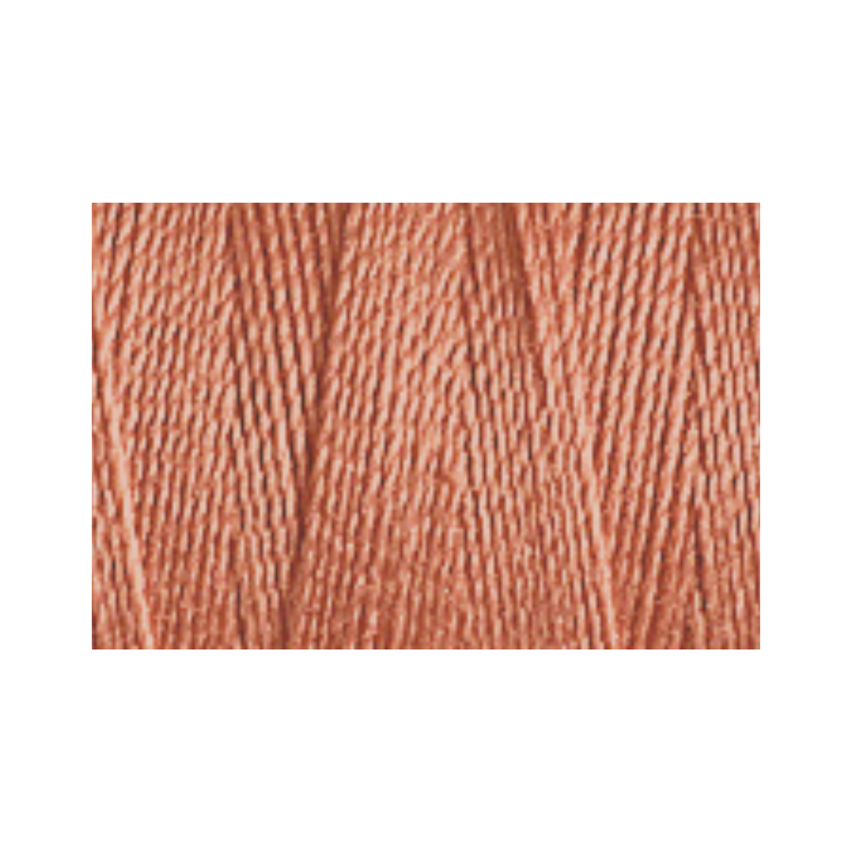Cotton.30 Col.1304 (R1,18)