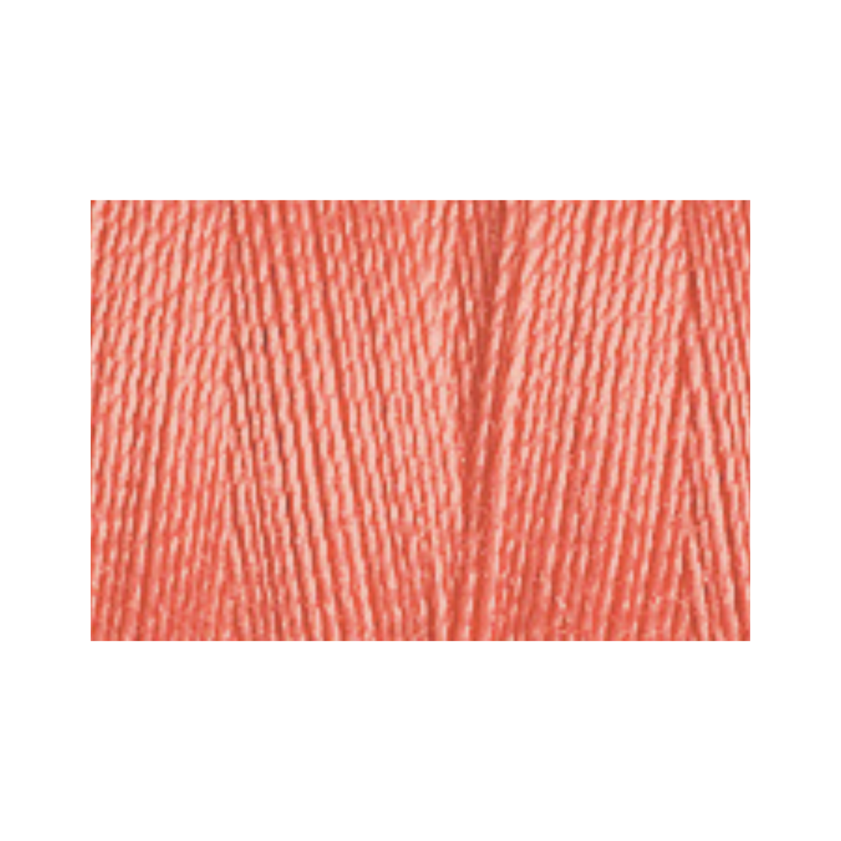Cotton.30 Col.1119 (R1,25)
