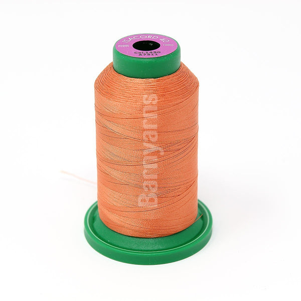 Isacord 40 1430 Pumpkin Melon1000m Cone