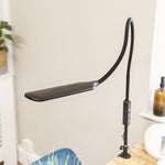 Lumina Desk Lamp