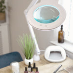 Chameleon Magnifier Lamp