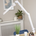 Chameleon Magnifier Lamp