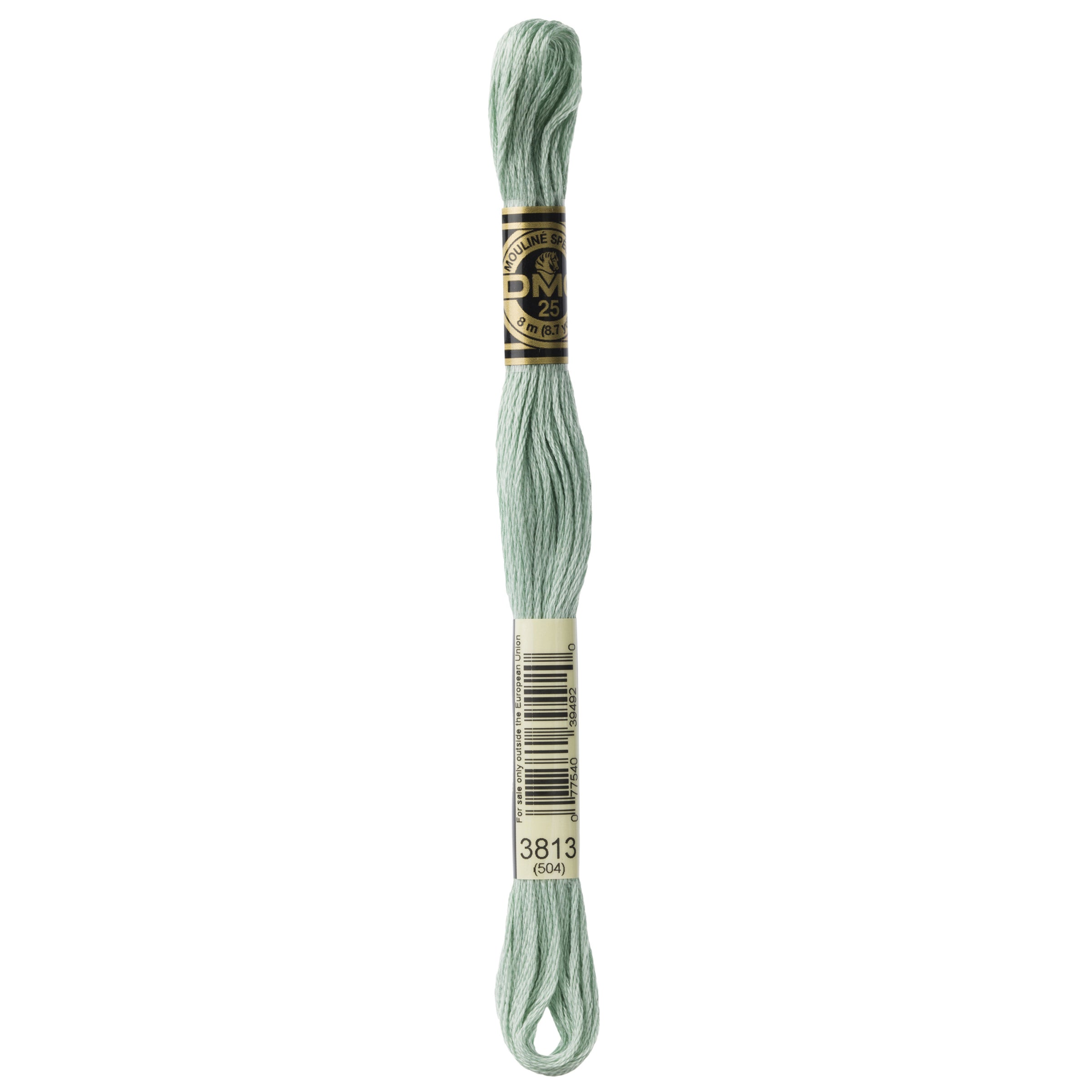 DMC Mouline 6 Strand Cotton 3813 Blue Green Light 8m Skein| Barnyarns