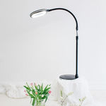 3 in 1 Floor Standing Magnifier