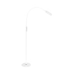 Lumina Floor Lamp
