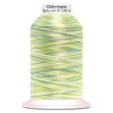 Gutermann Bulky Lock 80 1000m Variegated