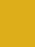 Polyneon 75 Col.1724 2500m Yellow