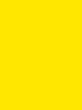 Madeira Polyneon 40 Col.1883 1000m Fluor Yellow
