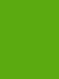 Polyneon 40 Col.1901 5000m Fluor Green