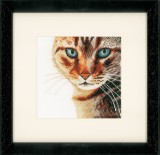 Lanarte Counted Cross Stitch Kit - Cat in Close-Up (Evenweave)