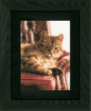 Lanarte Counted Cross Stitch Kit - Relaxed Tabby (Aida,W)