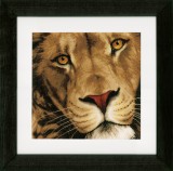 Lanarte Counted Cross Stitch Kit - King of Animals (Evenweave)