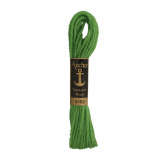 Anchor Tapestry Wool 10m Col.9102 Green