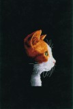 Vervaco Counted Cross Stitch Kit - Kitten