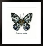 Vervaco Counted Cross Stitch Kit - Blue Butterfly