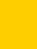 Madeira Frosted Matt 40 Col.7624 1000m Yellow