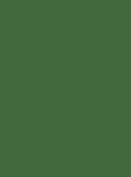 Madeira Frosted Matt 40 Col.7970 2500m Green