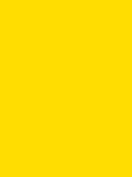 Frosted Matt 40 Col.7980 1000m Yellow