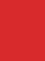 Madeira Rheingold Rayon 40 5000m Red