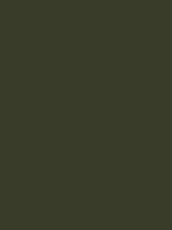 Madeira Polyneon 40 Col.1795 1000m Olive Green