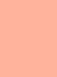 Madeira Polyneon 40 Col.1817 1000m Peach